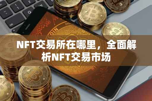 NFT交易所在哪里，全面解析NFT交易市场