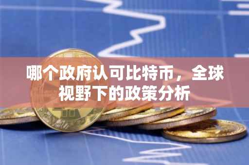 哪个政府认可比特币，全球视野下的政策分析
