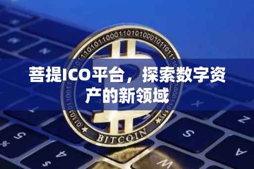 菩提ICO平台，探索数字资产的新领域