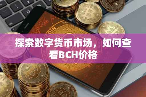 探索数字货币市场，如何查看BCH价格