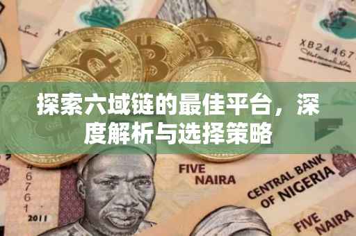 探索六域链的最佳平台，深度解析与选择策略