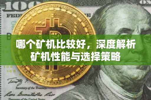 哪个矿机比较好，深度解析矿机性能与选择策略