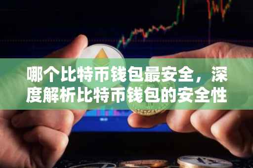 哪个比特币钱包最安全，深度解析比特币钱包的安全性及其选择策略