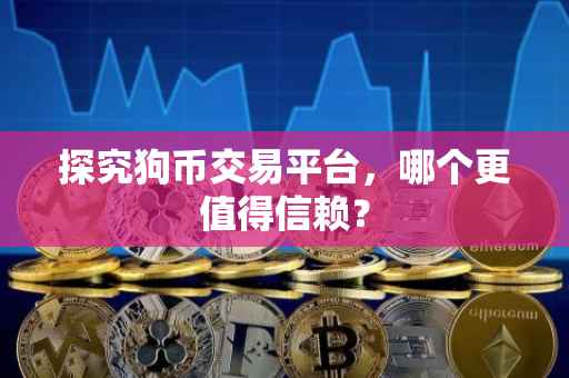 探究狗币交易平台，哪个更值得信赖？