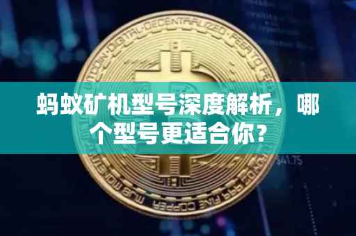 蚂蚁矿机型号深度解析，哪个型号更适合你？