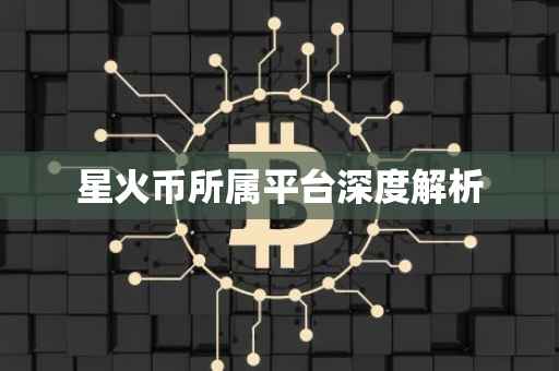 星火币所属平台深度解析