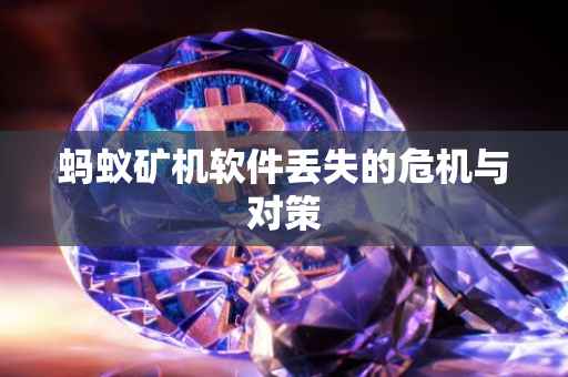 蚂蚁矿机软件丢失的危机与对策