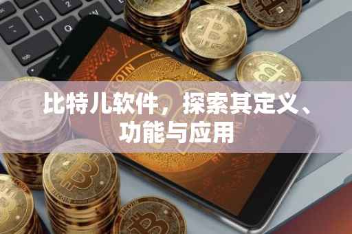 比特儿软件，探索其定义、功能与应用