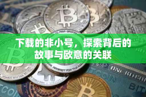 下载的非小号，探索背后的故事与欧意的关联