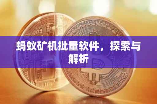 蚂蚁矿机批量软件，探索与解析