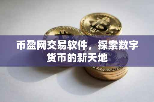 币盈网交易软件，探索数字货币的新天地