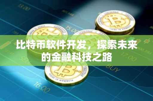 比特币软件开发，探索未来的金融科技之路
