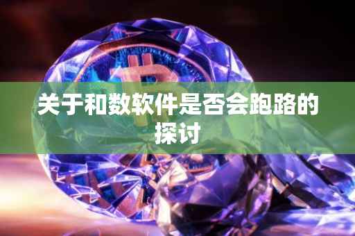 关于和数软件是否会跑路的探讨
