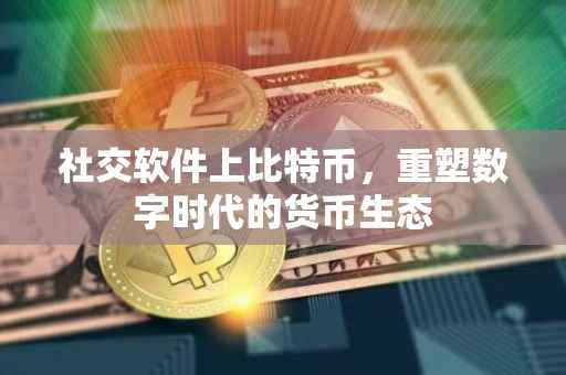 社交软件上比特币，重塑数字时代的货币生态