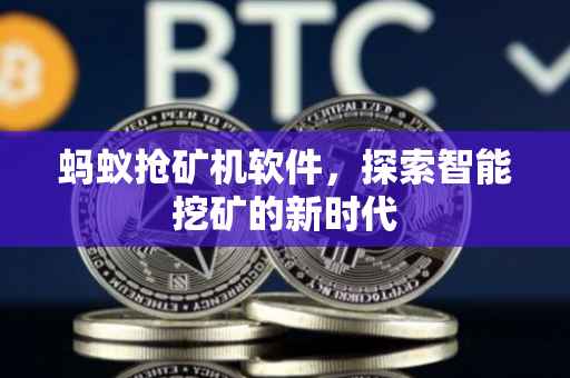 蚂蚁抢矿机软件，探索智能挖矿的新时代
