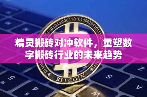 精灵搬砖对冲软件，重塑数字搬砖行业的未来趋势