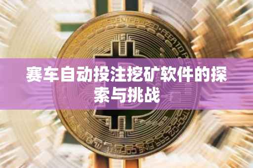 赛车自动投注挖矿软件的探索与挑战