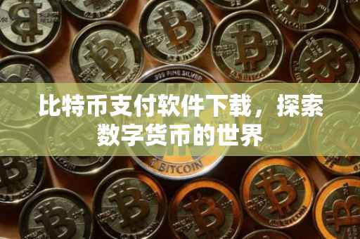 比特币支付软件下载，探索数字货币的世界