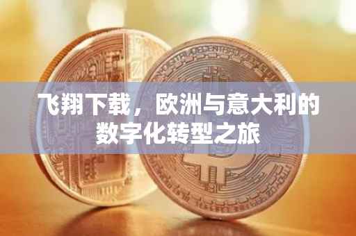 飞翔下载，欧洲与意大利的数字化转型之旅