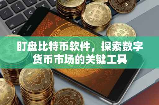 盯盘比特币软件，探索数字货币市场的关键工具