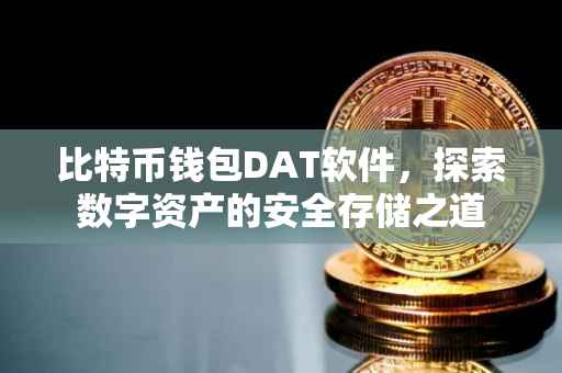 比特币钱包DAT软件，探索数字资产的安全存储之道