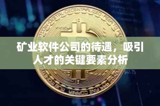矿业软件公司的待遇，吸引人才的关键要素分析