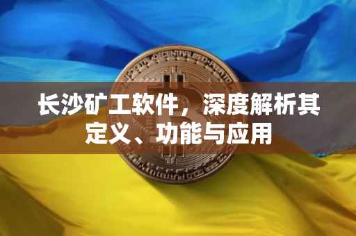 长沙矿工软件，深度解析其定义、功能与应用