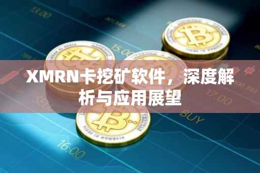 XMRN卡挖矿软件，深度解析与应用展望
