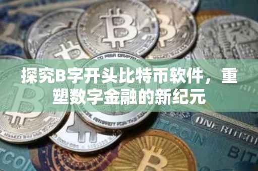 探究B字开头比特币软件，重塑数字金融的新纪元