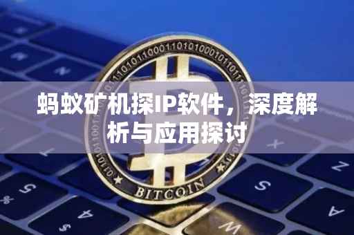 蚂蚁矿机探IP软件，深度解析与应用探讨