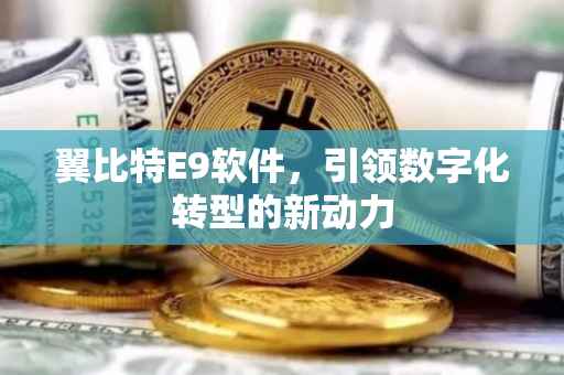 翼比特E9软件，引领数字化转型的新动力