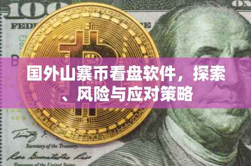 国外山寨币看盘软件，探索、风险与应对策略