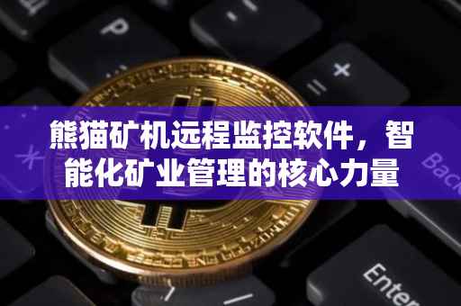 熊猫矿机远程监控软件，智能化矿业管理的核心力量