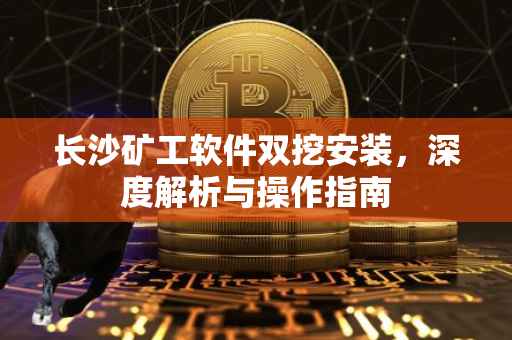 长沙矿工软件双挖安装，深度解析与操作指南