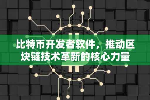 比特币开发者软件，推动区块链技术革新的核心力量