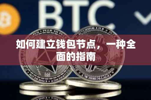 如何建立钱包节点，一种全面的指南