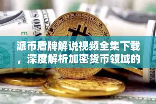 派币盾牌解说视频全集下载，深度解析加密货币领域的盾牌技术