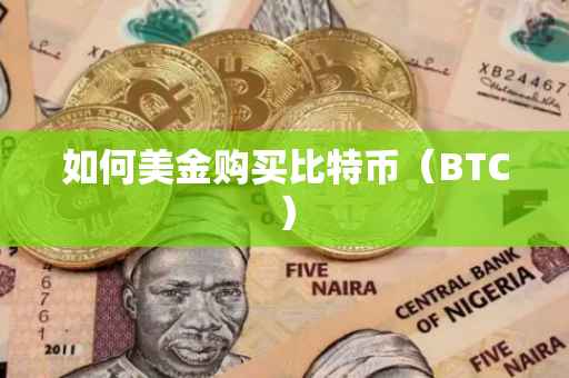 如何美金购买比特币（BTC）