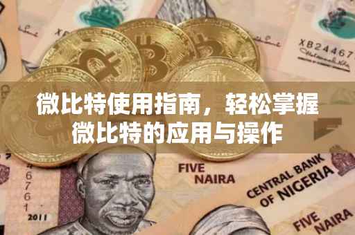 微比特使用指南，轻松掌握微比特的应用与操作