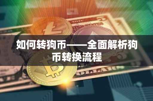 如何转狗币——全面解析狗币转换流程