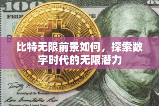 比特无限前景如何，探索数字时代的无限潜力