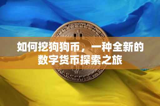 如何挖狗狗币，一种全新的数字货币探索之旅