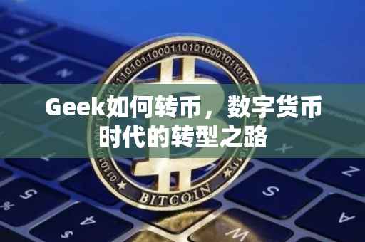 Geek如何转币，数字货币时代的转型之路
