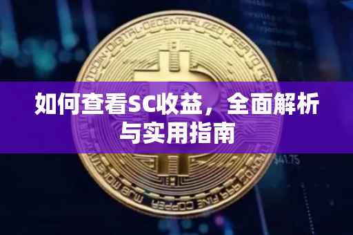 如何查看SC收益，全面解析与实用指南