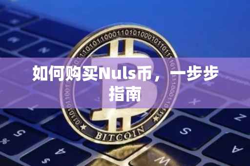 如何购买Nuls币，一步步指南
