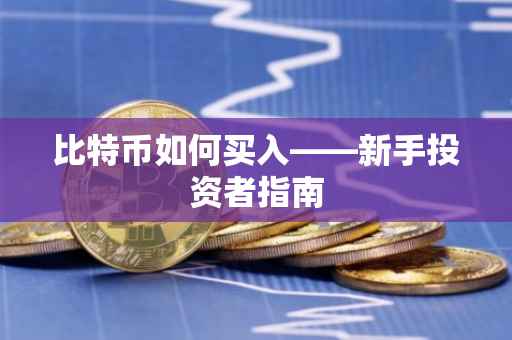 比特币如何买入——新手投资者指南