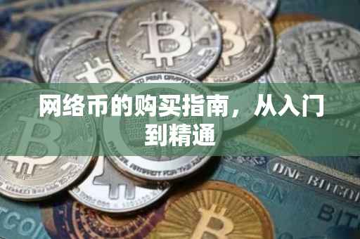 网络币的购买指南，从入门到精通