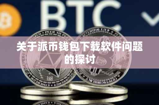 关于派币钱包下载软件问题的探讨