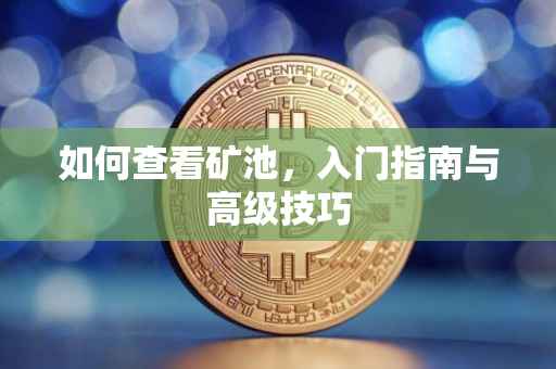 如何查看矿池，入门指南与高级技巧
