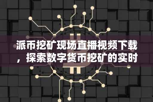 派币挖矿现场直播视频下载，探索数字货币挖矿的实时动态